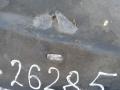 защита арок задняя правая (подкрылок) Volkswagen Passat B5 [рестайлинг] 2002, 1.8 л., бензин, универсал, 3B0810972H, . - фото №2